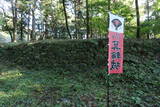 上野 箕輪城の写真