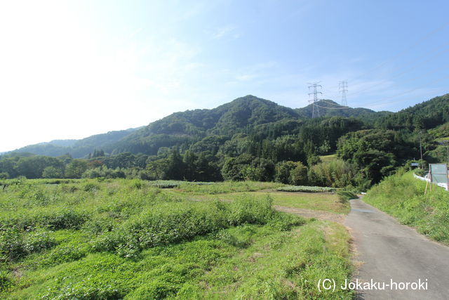 上野 根小屋城(東吾妻町)の写真