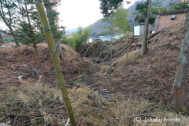 上野 宮野城の写真