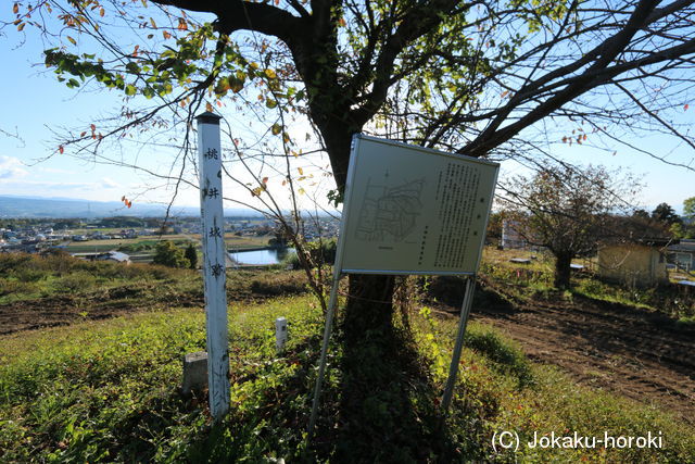 上野 桃井城の写真