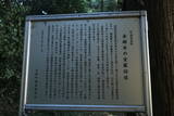 上野 桃井城の写真
