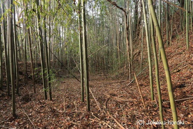 上野 明徳寺城の写真