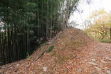 上野 明徳寺城の写真