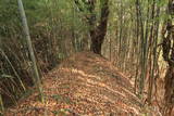 上野 明徳寺城の写真