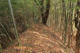 上野 明徳寺城の写真