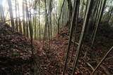 上野 明徳寺城の写真