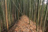 上野 明徳寺城の写真