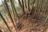 上野 明徳寺城の写真