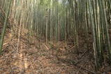 上野 明徳寺城の写真