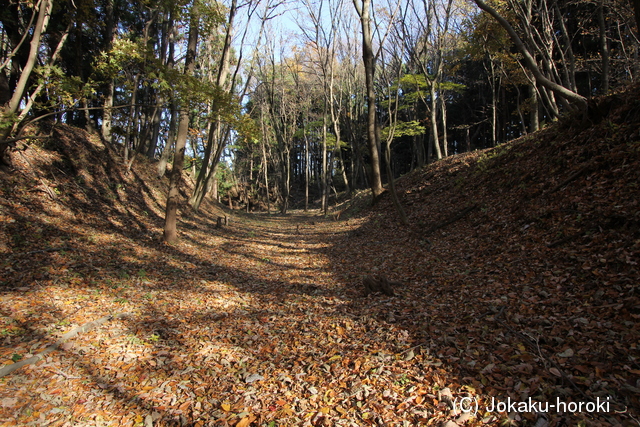 上野 長井坂城の写真