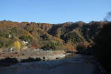 上野 長井坂城の写真