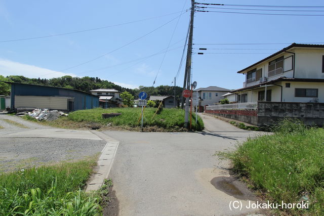 上野 長根館の写真