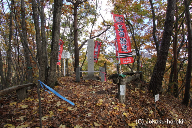 上野 長野原城の写真