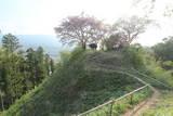 上野 名胡桃城の写真