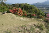 上野 名胡桃城の写真