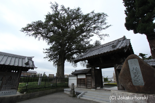 上野 中野城の写真