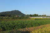 上野 千貫屋敷の写真