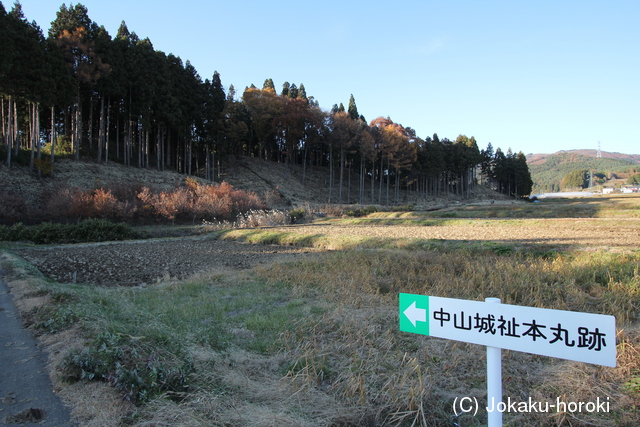 上野 中山城の写真