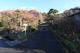 上野 中山古城の写真