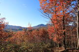 上野 中山古城の写真