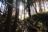 上野 中山古城の写真