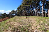 上野 中山古城の写真