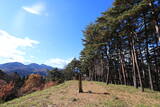 上野 中山古城の写真