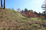 上野 中山古城の写真