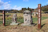 上野 中山古城の写真