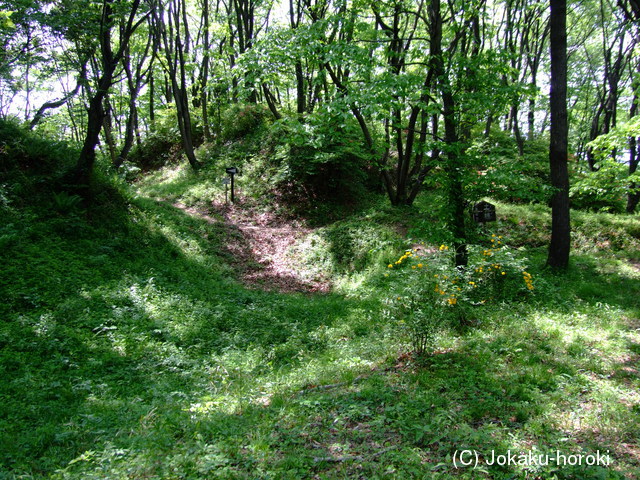 上野 根小屋城の写真