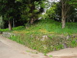 上野 庭谷城の写真