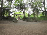 上野 庭谷城の写真