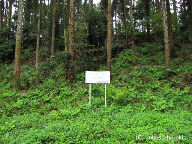 上野 丹生城の写真