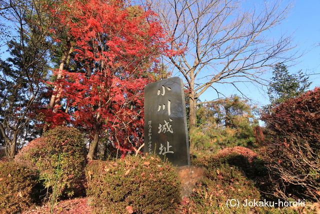 上野 小川城の写真