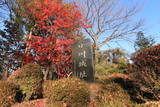 上野 小川城の写真