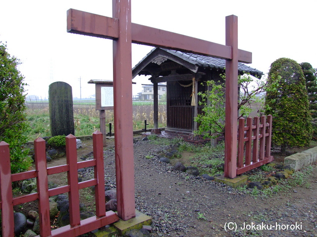 上野 大館氏館の写真