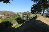 上野 大胡城の写真