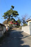 上野 大胡館の写真
