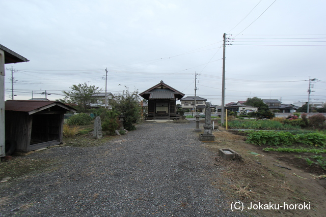 上野 大佐貫館の写真