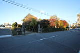 上野 大友城の写真