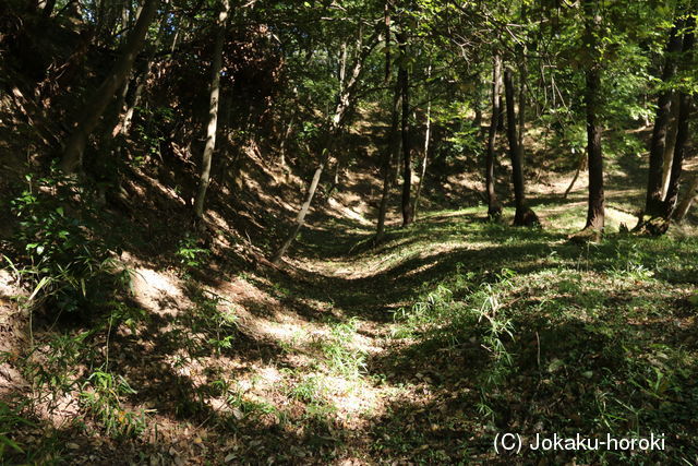 上野 大山城の写真