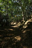 上野 大山城の写真