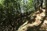 上野 大山城の写真