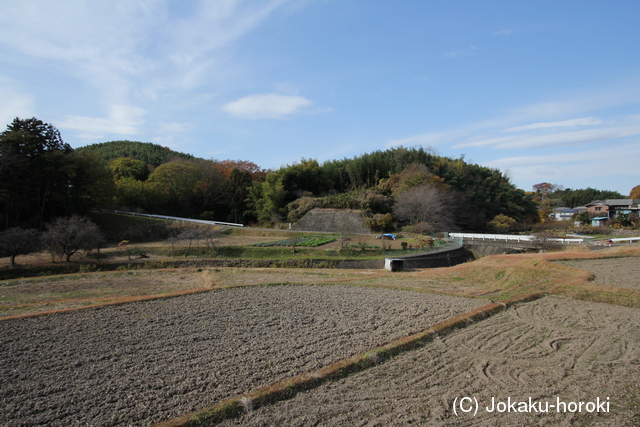 上野 奥平城の写真