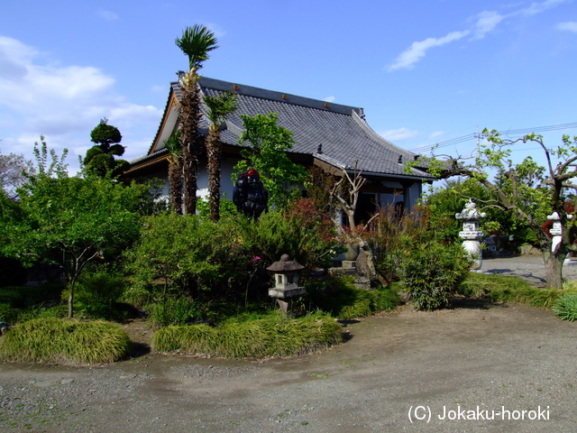 上野 力丸城の写真