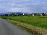 上野 力丸城の写真