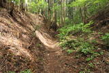 上野 愛宕山城の写真