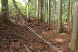 上野 愛宕山城の写真