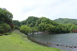 上野 坂本城の写真