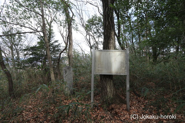 上野 坂中城の写真